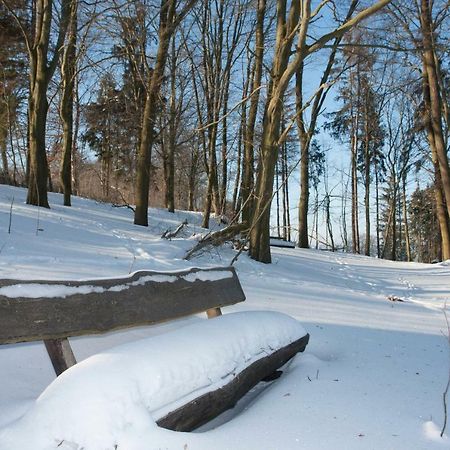 Schweizer Haus Wippra Lägenhet Exteriör bild