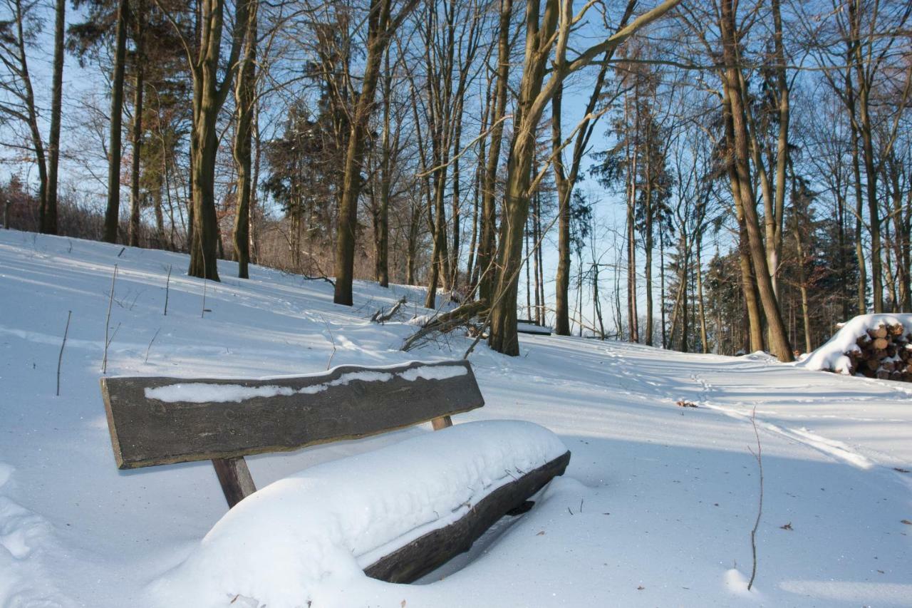 Schweizer Haus Wippra Lägenhet Exteriör bild